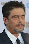 Image of Benicio del Toro