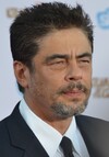 Image of Benicio del Toro