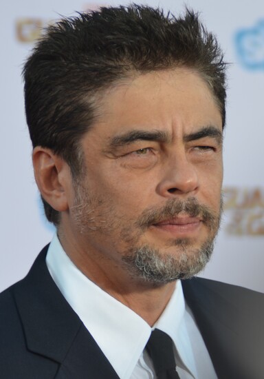 Image of Benicio del Toro