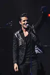 Image of Brandon Flowers