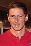 Image of Fernando Torres