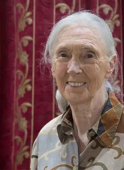 Image of Jane Goodall