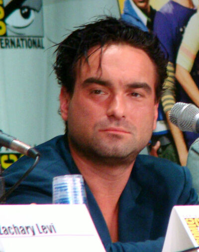 Image of Johnny Galecki